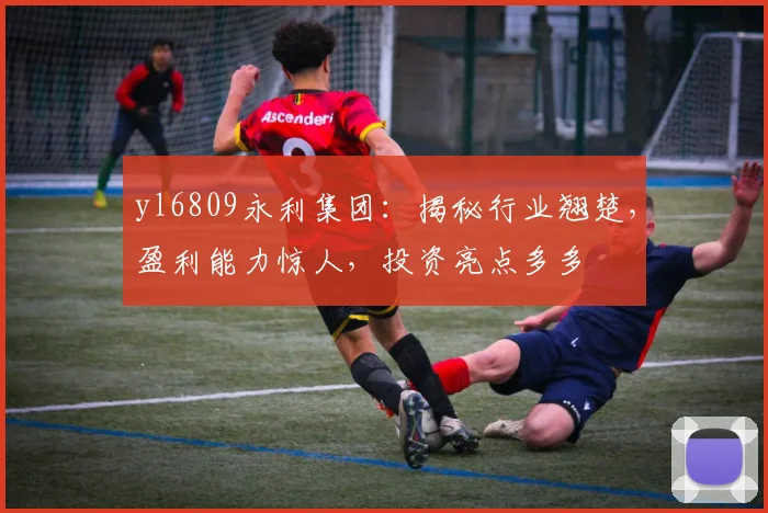 yl6809永利集团：揭秘行业翘楚，盈利能力惊人，投资亮点多多